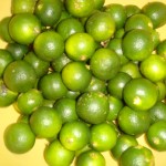 dsc05354